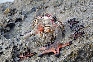 Wedding bridal bouquet made Ã¢â¬â¹Ã¢â¬â¹of shells and pearls and other